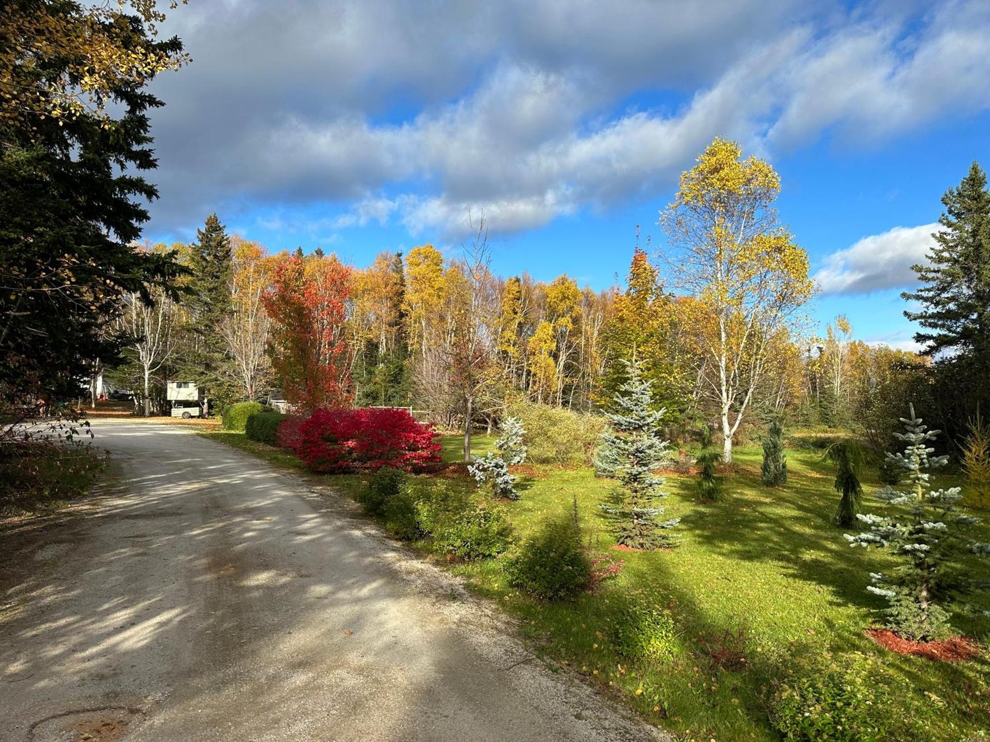 Eden Estate B&B Reidville Exterior photo